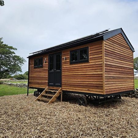 Woodland Shepherds Hut - 'Saga' Caernarfon Exterior photo